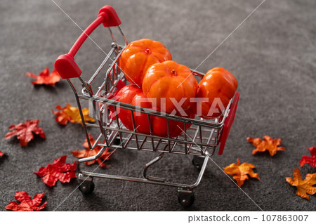 autumn shopping cart sale background Autumn shopping ショッピング autumn shopping cart sale background Autumn shopping ショッピング 107863007