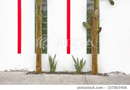 Street view of red and white building facade with cactus, architecture background, Ecuador. Street view of red and white building facade with cactus, architecture background, Ecuador. 107863406