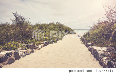 Beach entrance on Santa Cruz Island, color toning applied, Galapagos National Park, Ecuador. 107863414