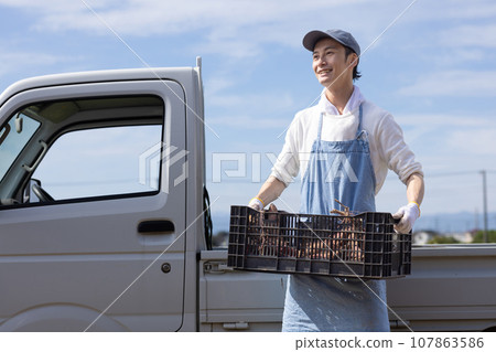 Men harvesting vegetables 107863586