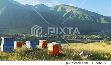 Wooden beehives against the backdrop of a mountain landscape. Wooden beehives against the backdrop of a mountain landscape. 107864079