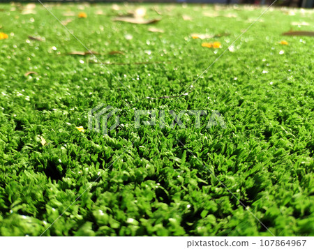 Green grass background close view Green grass background close view 107864967