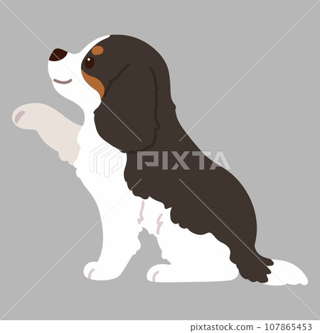 正在處理騎士查理王小獵犬的插圖,無主線 正在處理騎士查理王小獵犬的插圖,無主線 107865453