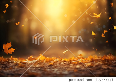 Falling yellow autumn leaves, trees with vibrant backlight from setting sun Falling yellow autumn leaves, trees with vibrant backlight from setting sun 107865741