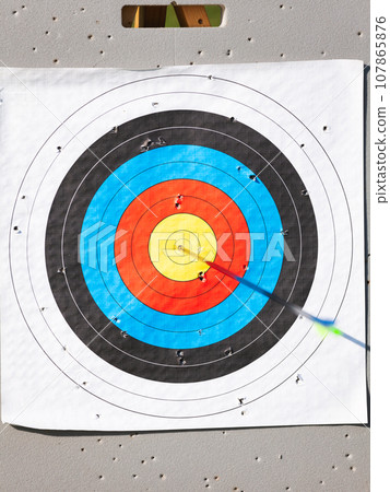 Archery target with arrow in bullseye Archery target with arrow in bullseye 107865876