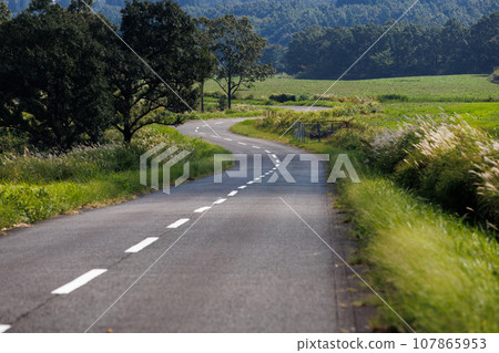 Kuju Highlands in autumn (Takeda City, Oita Prefecture) Kuju Highlands in autumn (Takeda City, Oita Prefecture) 107865953