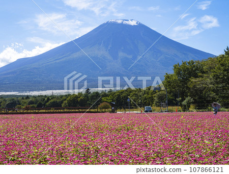 富士山 107866121