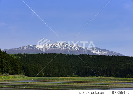 從山形縣坂田市丸池附近看到的鳥海山（出羽富士）和稻田 107866462