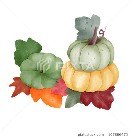 watercolor illustration of pumpkin and leaves 107866473