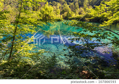 Plitvice Lakes National Park 107866593