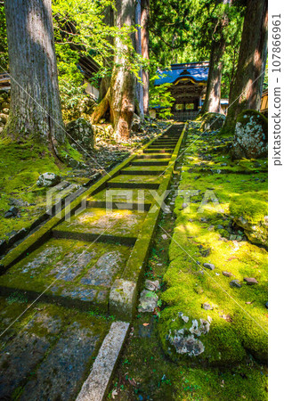 Fukui Karamon gate of Eiheiji temple surrounded by beautiful summer green moss and large trees Fukui Karamon gate of Eiheiji temple surrounded by beautiful summer green moss and large trees 107866961