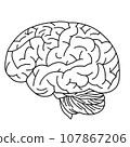 Line drawing of the brain seen from the side 107867206