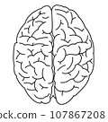 Line drawing of the brain seen from above 107867208