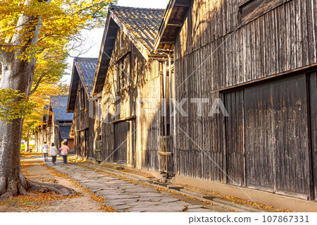 後巷裡種有櫸樹的古色古香的米倉「秋葉三共倉庫」（日本遺產）坂田市 107867331