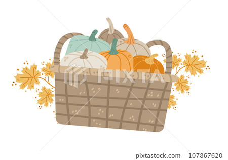 autumn harvest basket with different pumpkins happy thanksgiving holiday festival celebration concept autumn harvest basket with different pumpkins happy thanksgiving holiday festival celebration concept 107867620