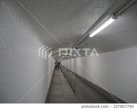 Nikko: Underpass leading to Kegon Falls Nikko: Underpass leading to Kegon Falls 107867780