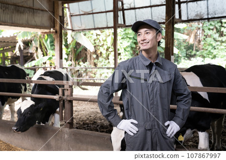 Cowshed and male worker 107867997