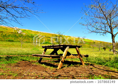 狹山公園（東京都東村山市） [2023.10] 107868149