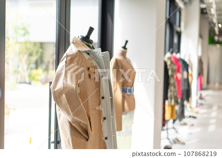 Apparel Mannequin Fashion Stylish Apparel Mannequin Fashion Stylish 107868219