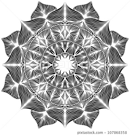 Ornament black mandala. 107868358