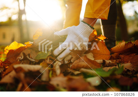 Woman cleans autumn park from yellow leaves. Volunteering, cleaning concept. Seasonal gardening. Woman cleans autumn park from yellow leaves. Volunteering, cleaning concept. Seasonal gardening. 107868826