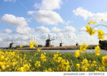 Dutch windmills Dutch windmills 107869418