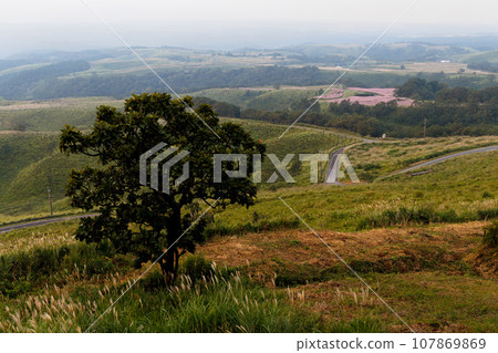 秋天的早晨的九重高原（大分縣武田市） 107869869