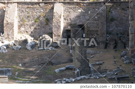 Detail of the Imperial Forums in Rome, Italy 107870110