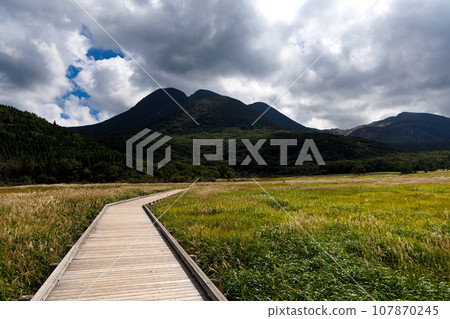 Autumn Tadewara Wetland (Konoe Town, Kusu District, Oita Prefecture) 107870245