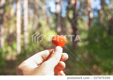 Little stone toy heart shape in man's hand on forest background Little stone toy heart shape in man's hand on forest background 107870300