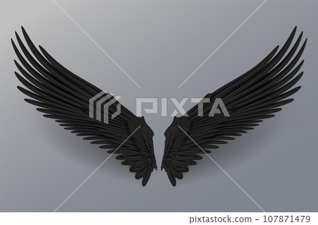 Realistic black wings. Angel black wings or bird fly wing. 3D bird wings design template. Realistic black wings. Angel black wings or bird fly wing. 3D bird wings design template. 107871479