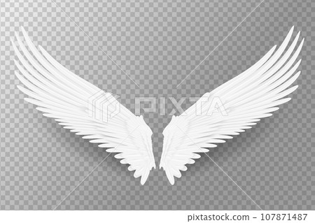 Realistic wings. Angel wings. White isolated pair of falcon wings, 3D bird wings design template. 107871487