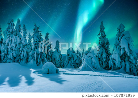 Wintry scene with glowing polar lights and snowy igloo Wintry scene with glowing polar lights and snowy igloo 107871959