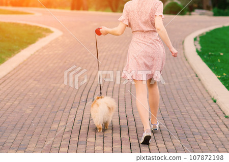 Young beautiful female in a blue mask with a dog on a background of a blossoming tree. Young beautiful female in a blue mask with a dog on a background of a blossoming tree. 107872198