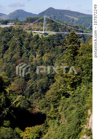 Kokonoe Yume Suspension Bridge (Konoe Town, Kusu District, Oita Prefecture) 107872249