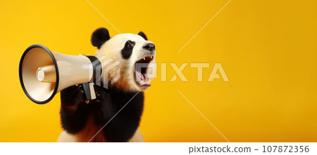 Panda with loudspeaker on yellow background 107872356