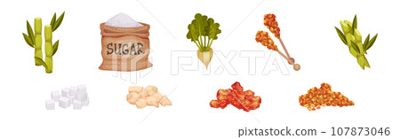 Sugar and Natural Sweet Product Production Vector Set 107873046