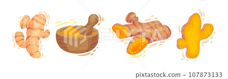 Fresh Turmeric Plant with Orange Root as Culinary Spice Vector Set Fresh Turmeric Plant with Orange Root as Culinary Spice Vector Set 107873133