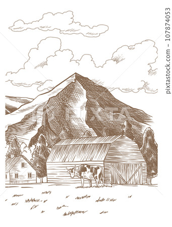 Cows chewing grass farm on grazing on meadow. Hand drawn farm land with barn vector illustration. Rural landscape, village vintage sketch Cows chewing grass farm on grazing on meadow. Hand drawn farm land with barn vector illustration. Rural landscape, village vintage sketch 107874053