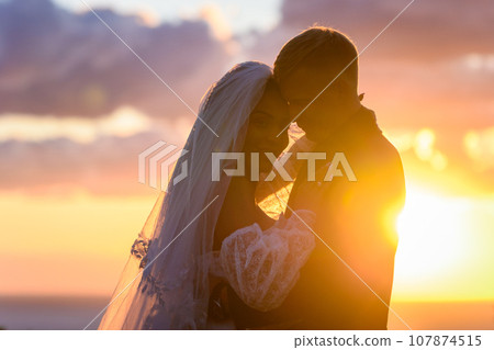 Portrait of happy newlyweds hugging in the rays of the setting sun Portrait of happy newlyweds hugging in the rays of the setting sun 107874515