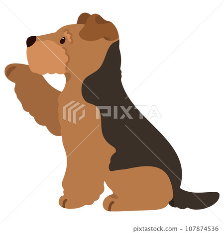 正在處理的剛毛獵狐梗的插圖,沒有主線 正在處理的剛毛獵狐梗的插圖,沒有主線 107874536