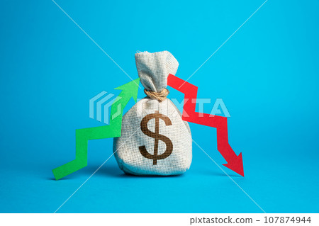 Budget debit and credit. Tracking income and expenses. Financial balanced budget. Maintain fiscal stability. Self-sufficiency and competent management of business and government. Economy 107874944