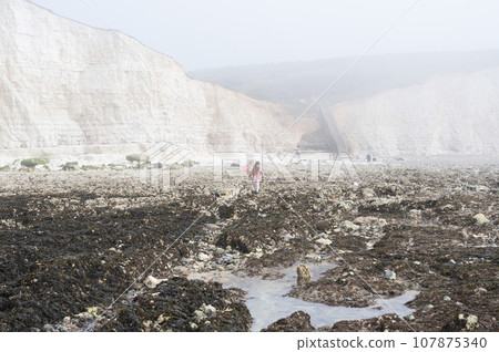 Child rock pooling at Hope Gap Beach between Seaford and Eastbourne, East Sussex. Beach and sea in foggy morning Child rock pooling at Hope Gap Beach between Seaford and Eastbourne, East Sussex. Beach and sea in foggy morning 107875340