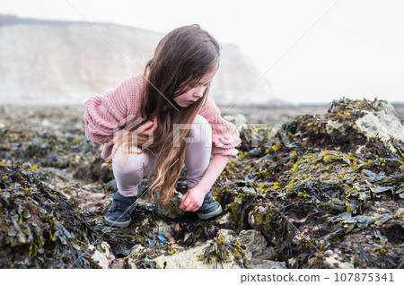 Little girl rock pooling and collecting sea shells at Hope Gap Beach between Seaford and Eastbourne, East Sussex. Beach and sea in foggy morning Little girl rock pooling and collecting sea shells at Hope Gap Beach between Seaford and Eastbourne, East Sussex. Beach and sea in foggy morning 107875341