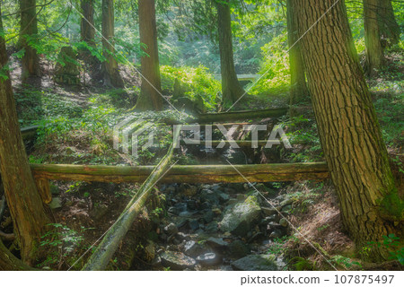 Fair-skinned water [Tatsuno-cho, Kamiina-gun] 107875497