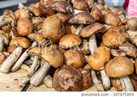 Freshly picked boletus mushrooms on a farmer's counter 107875864
