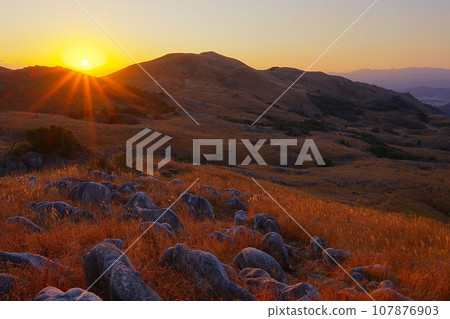 北九州平尾台喀斯特高原羊場和晴朗冬日的日出風景_Ver2 107876903