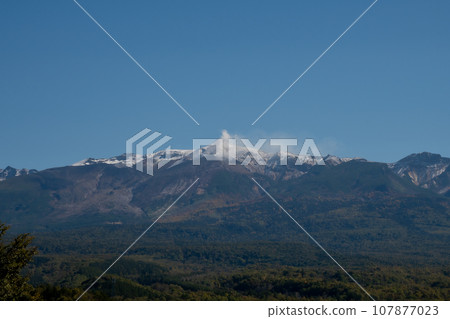 陽光明媚的秋日，十勝岳的森林地區和白雪皚皚的山峰 107877023