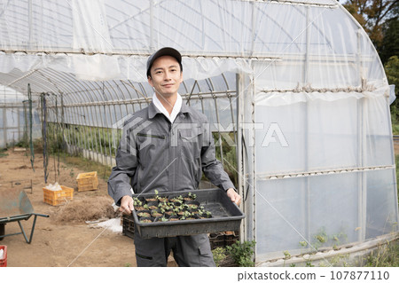 A man with a plastic greenhouse and a box containing seedlings A man with a plastic greenhouse and a box containing seedlings 107877110