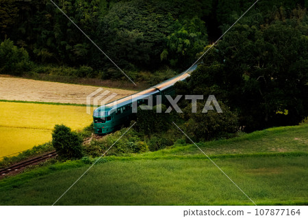 Yufuin Forest entering the forest tunnel (JR Kyudai Main Line down) 107877164